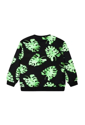 Світшот MSGM 8792   122/94p Ціна