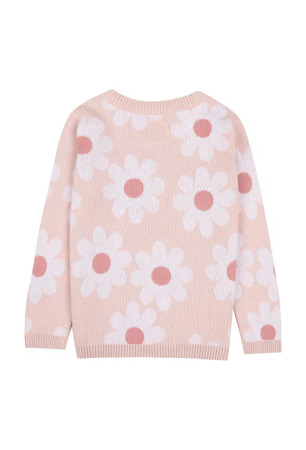 Светр Huxbaby HB2171 221/9Rp Ціна