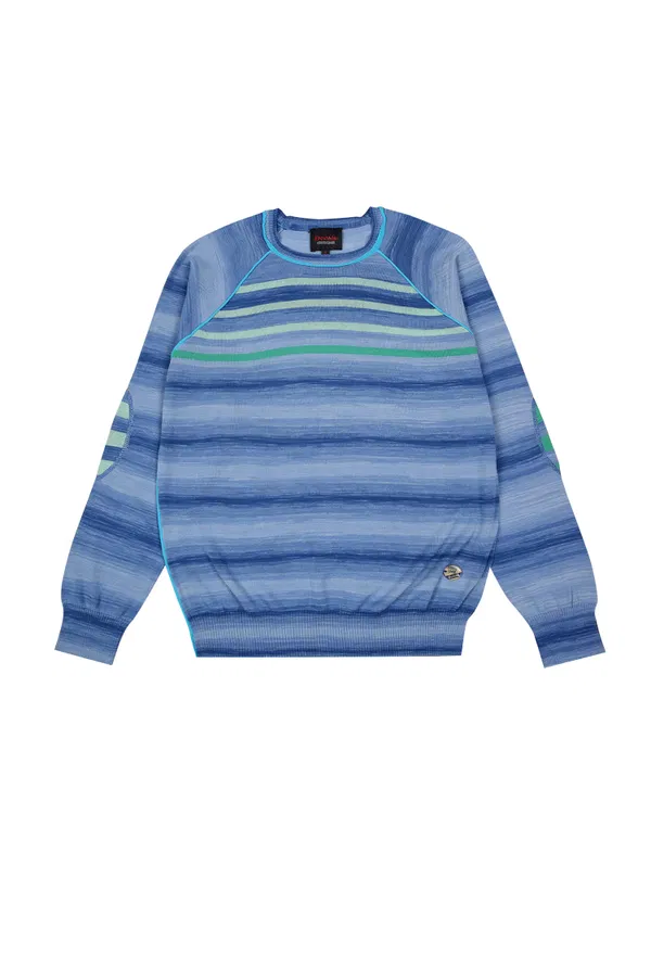 Джемпер Roberto Cavalli U1020 Y111/9G Купити