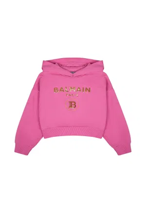 Худи Balmain 4100   122/9Uc Купить