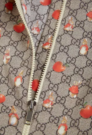 Вітрівка Gucci 773019 124/93p в Україні