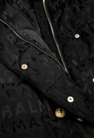 Пуховик Balmain 2A00   223/92 в Україні