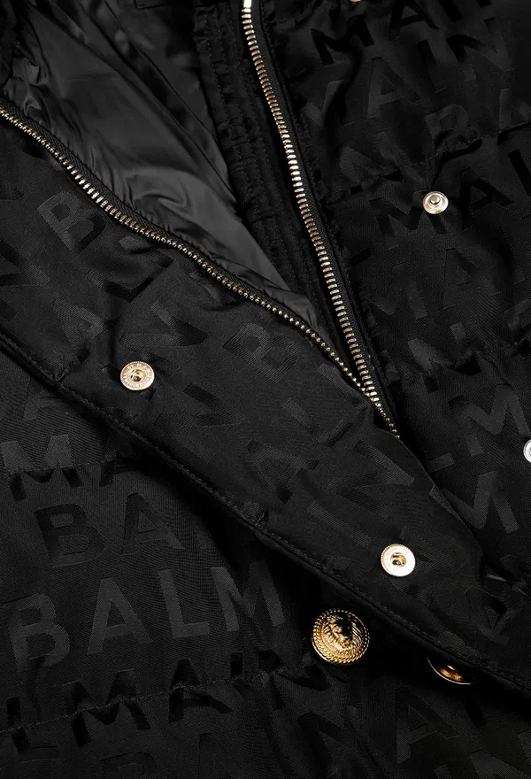 Пуховик Balmain 2A00   223/92 в Україні