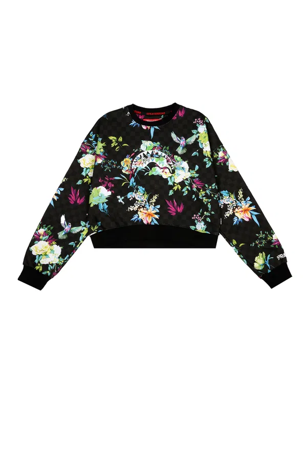 Світшот Sprayground 60     223/92p Купити