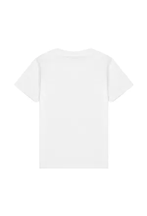Футболка Balmain 8541   222/91c Ціна