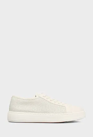 Кожаные кеды Santoni 21443 126/0A1 Купить
