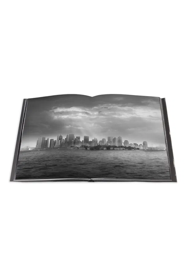 The Light of New York Assouline 9782759401741 xSN/1F2 онлайн