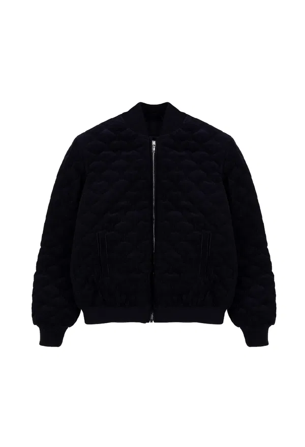 Бомбер Loro Piana 2280   220/9Q Купити