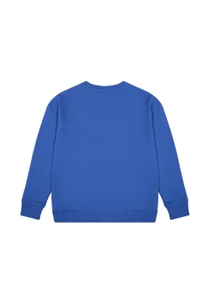 Свитшот Balmain 4O10   222/98c Цена