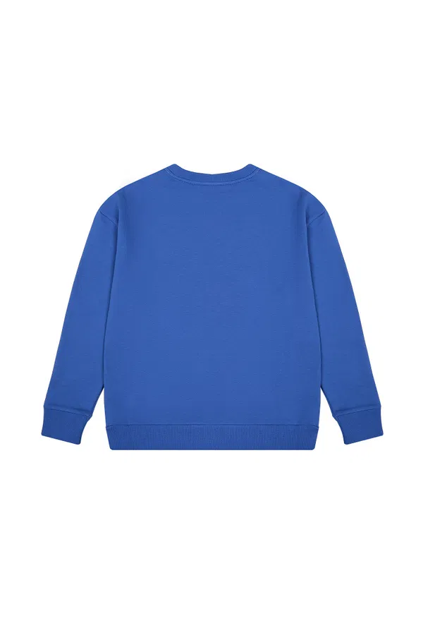 Свитшот Balmain 4O10   222/98c Цена