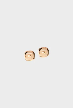 Сережки FERRAGAMO 760757 224/1CZ в Україні