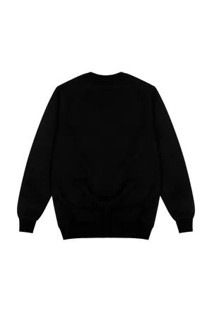 Світшот Balmain 4510   121/92c Ціна