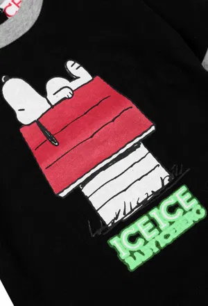Джемпер Ice Baby 6938  Y208/92 в Украине