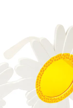 Очки Sunnylife JSUSDY 218/L1c в Украине