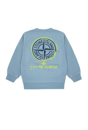 Свитшот Stone Island 100018 126/9G Цена