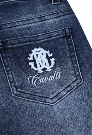 Джинси Roberto Cavalli QJJ206 123/9Q в Україні