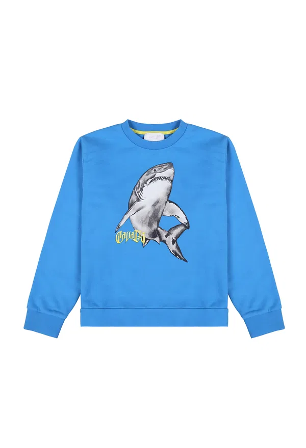 Світшот Roberto Cavalli QJT953 123/98c Купити