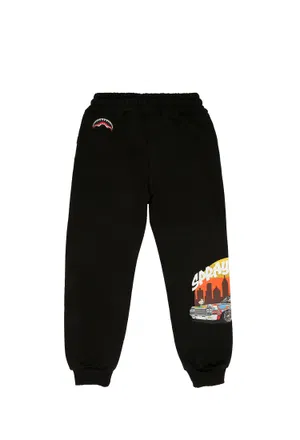 Спортивні штани Sprayground 348G   225/92c Ціна