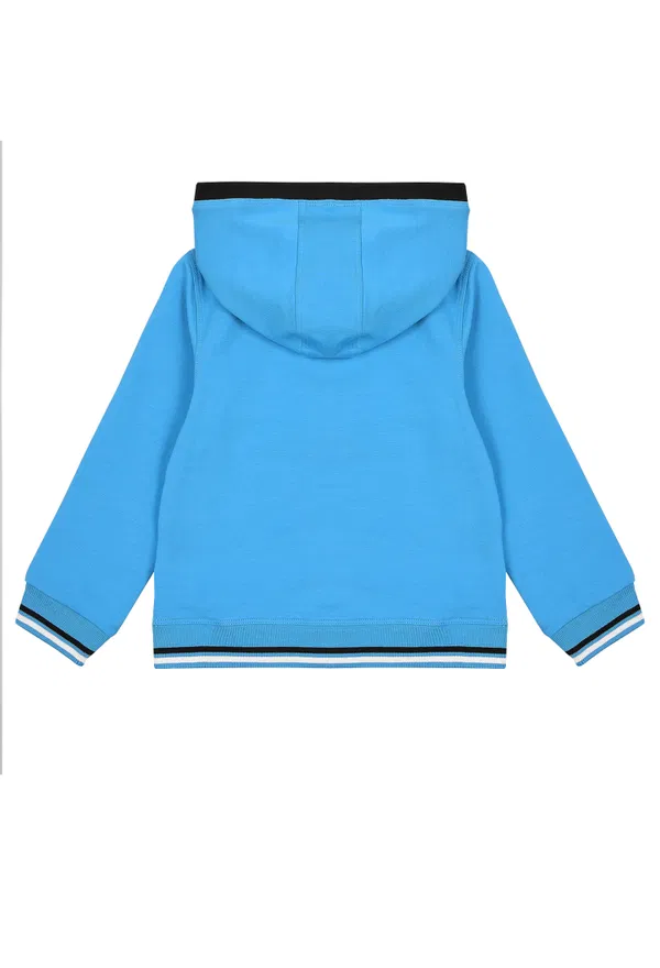 Спортивна кофта Armani Juniour PXB45 T111/9G Ціна
