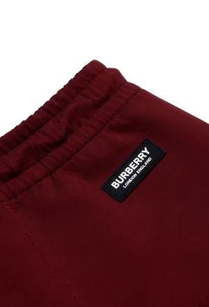 Спортивные брюки Burberry 040895 221/95 в Украине