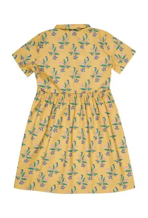 Сукня Bonton CLEM11 121/9Jp Ціна