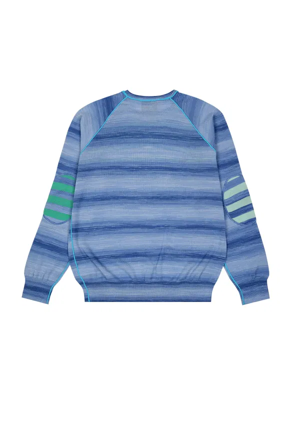 Джемпер Roberto Cavalli U1020 Y111/9G Ціна
