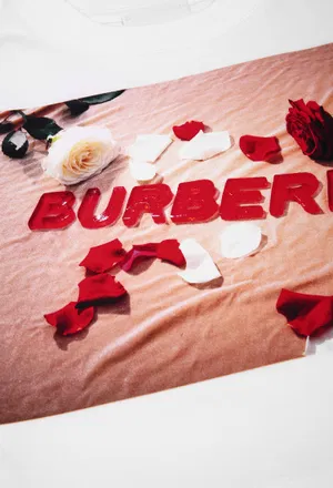 Топ Burberry 036910 121/91c в Україні