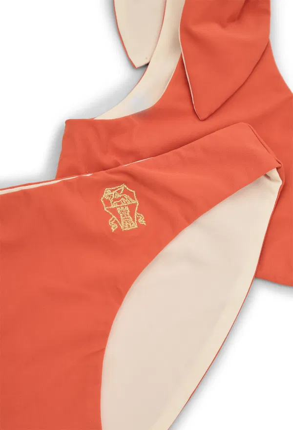 Купальник Brunello Cucinelli 5H404  126/9A в Україні