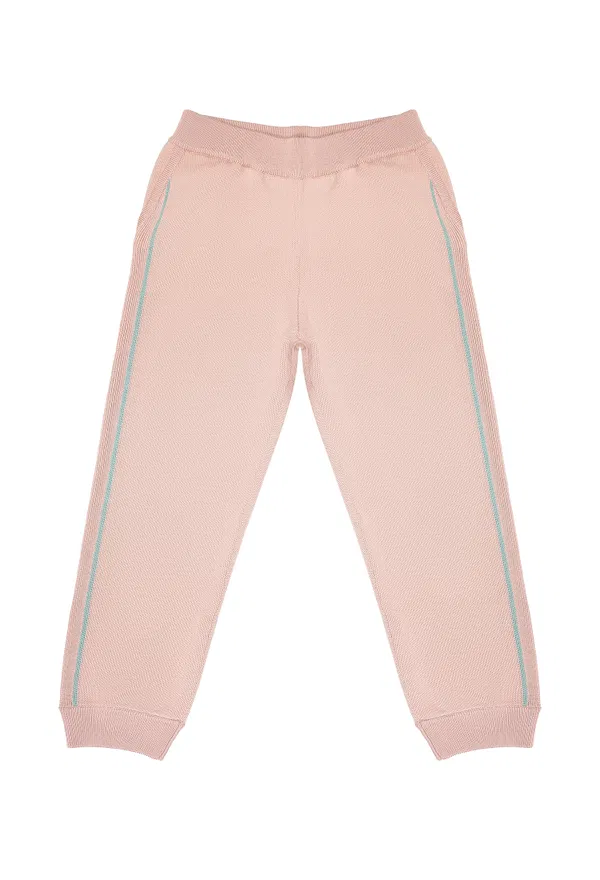 Спортивні штани Loro Piana 4226   222/9Pc Купити