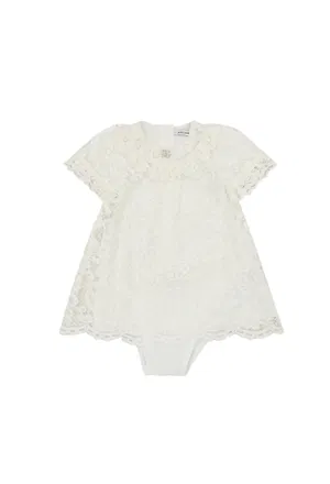 Сукня Dolce & Gabbana L23DZ9 224/9E Купити