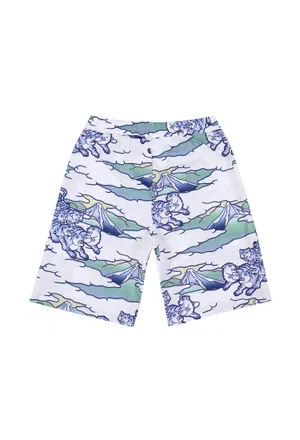 Шорты Kenzo Kids K24305 123/94p Цена