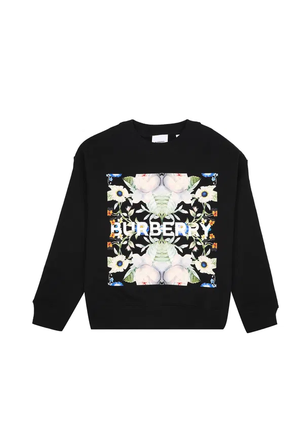 Світшот Burberry 048608 122/92c Купити
