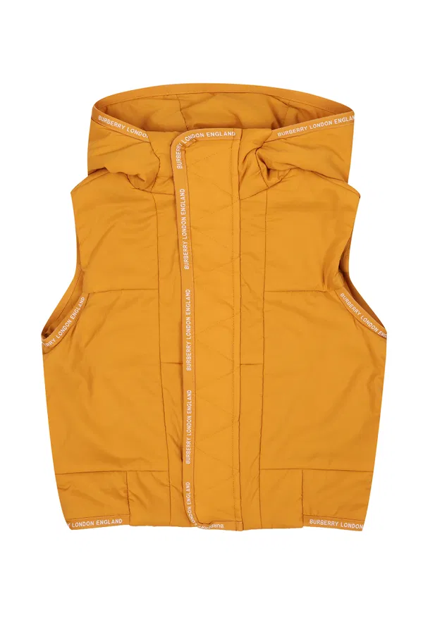 Жилет Burberry 047911 122/9A Купити