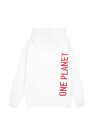Худі Dsquared2 DQ1050 222/91c Ціна