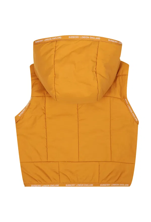 Жилет Burberry 047911 122/9A Ціна