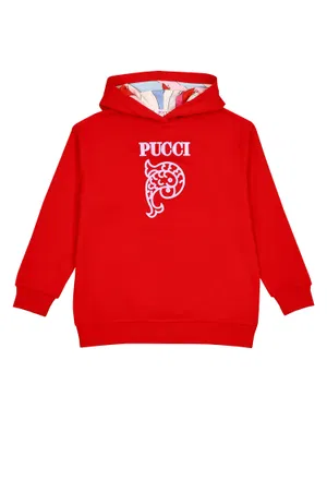 Худі EMILIO PUCCI PU4A20 124/99c Купити