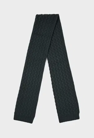 Кашеміровий шарф Loro Piana FAO5148 224/9IH Купити