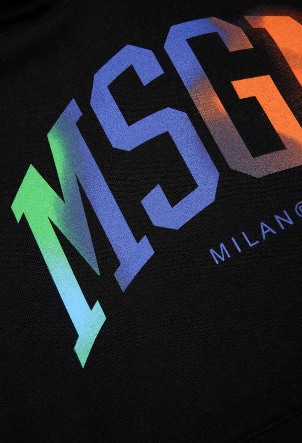 Худі MSGM S109   223/92c в Україні