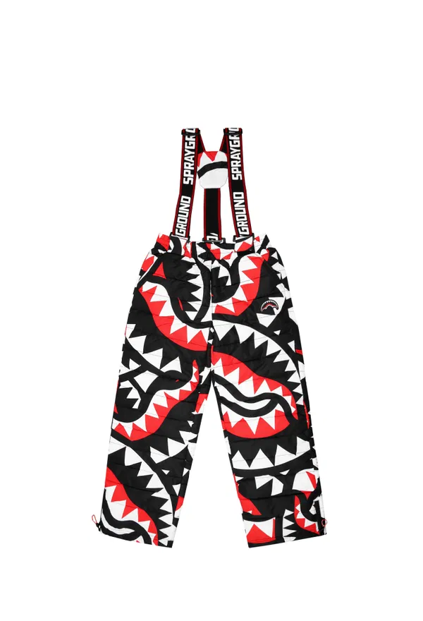 Лижні штани Sprayground 77MT   223/92p Купити