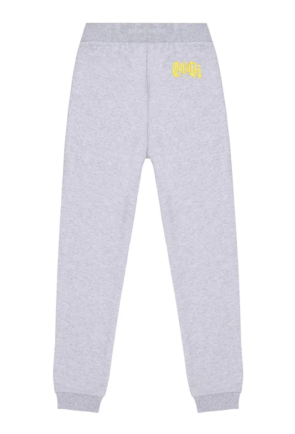 Спортивні штани Roberto Cavalli QJT270 123/97c Ціна