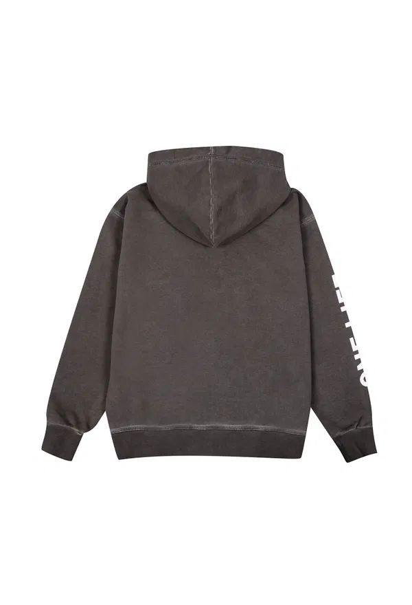 Худі Dsquared2 DQ1044 222/9Xc Ціна