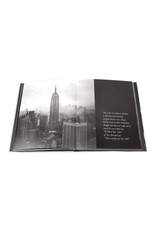 The Light of New York Assouline 9782759401741 xSN/1F2 в Україні