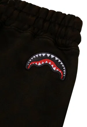 Спортивні штани Sprayground 39     223/93c в Україні