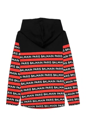 Худі Balmain 8560   219/92p Ціна