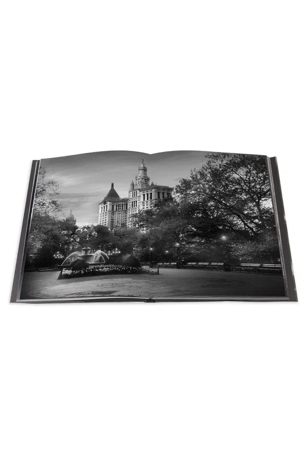 The Light of New York Assouline 9782759401741 xSN/1F2 каталог
