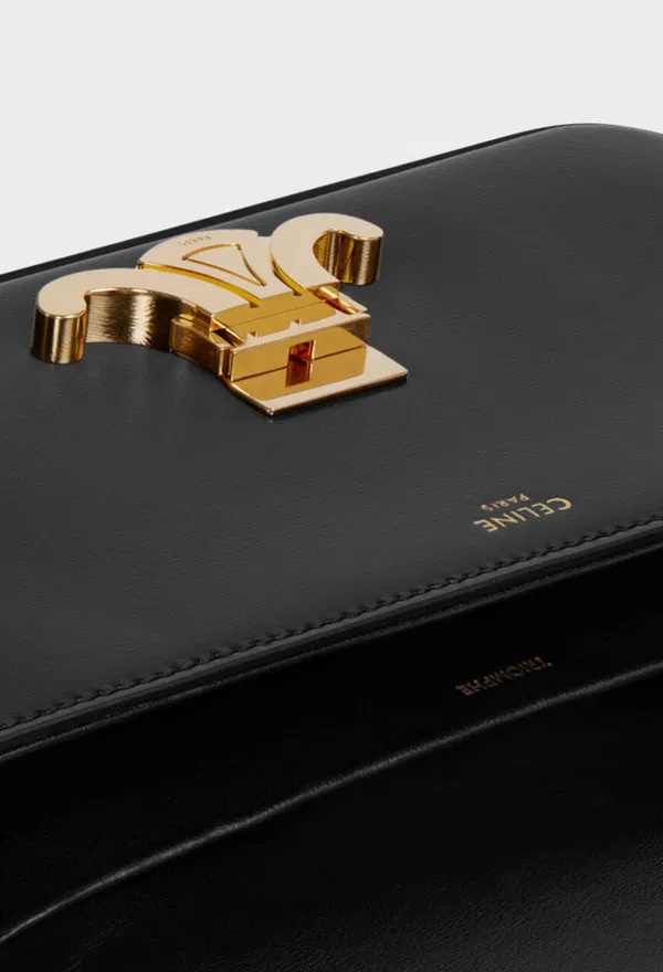 Шкіряна сумка MULTIPOCHETTE Céline 10L973 226/0A2 оригінал