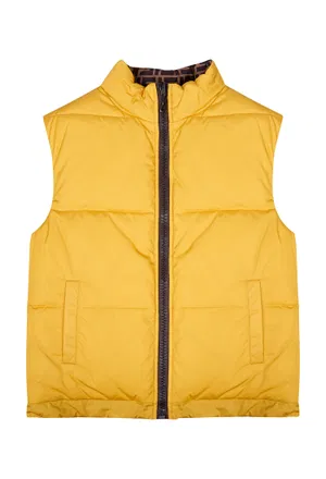 Двусторонняя жилетка Fendi JUA110 221/9J Купить