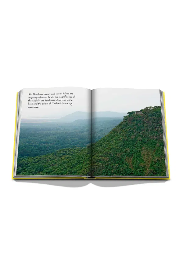 Travel By Design Assouline 9781614289258 xSN/1FJ Цена