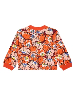 Джемпер Kenzo Kids K15690 223/9Ap Цена