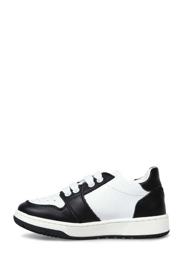 Кожаные кеды MSGM 3966   123/02c Цена